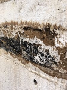Mold growth on wall. Duluth, Minnesota. Dryco Restoration Services. mold removal/remediation