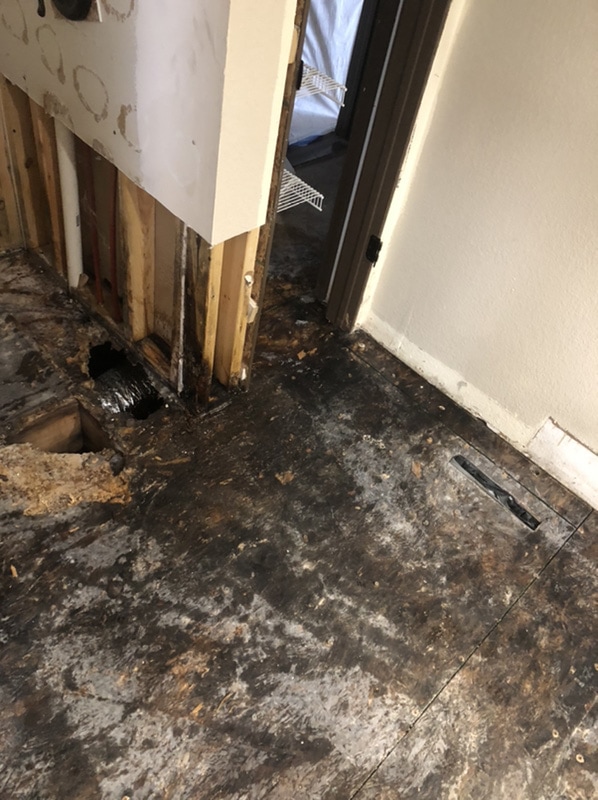 Subfloor affected by Mold Damage