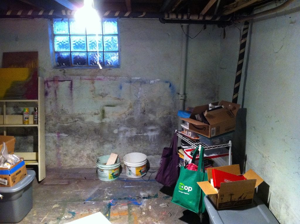 Basement affected by Mold Damage