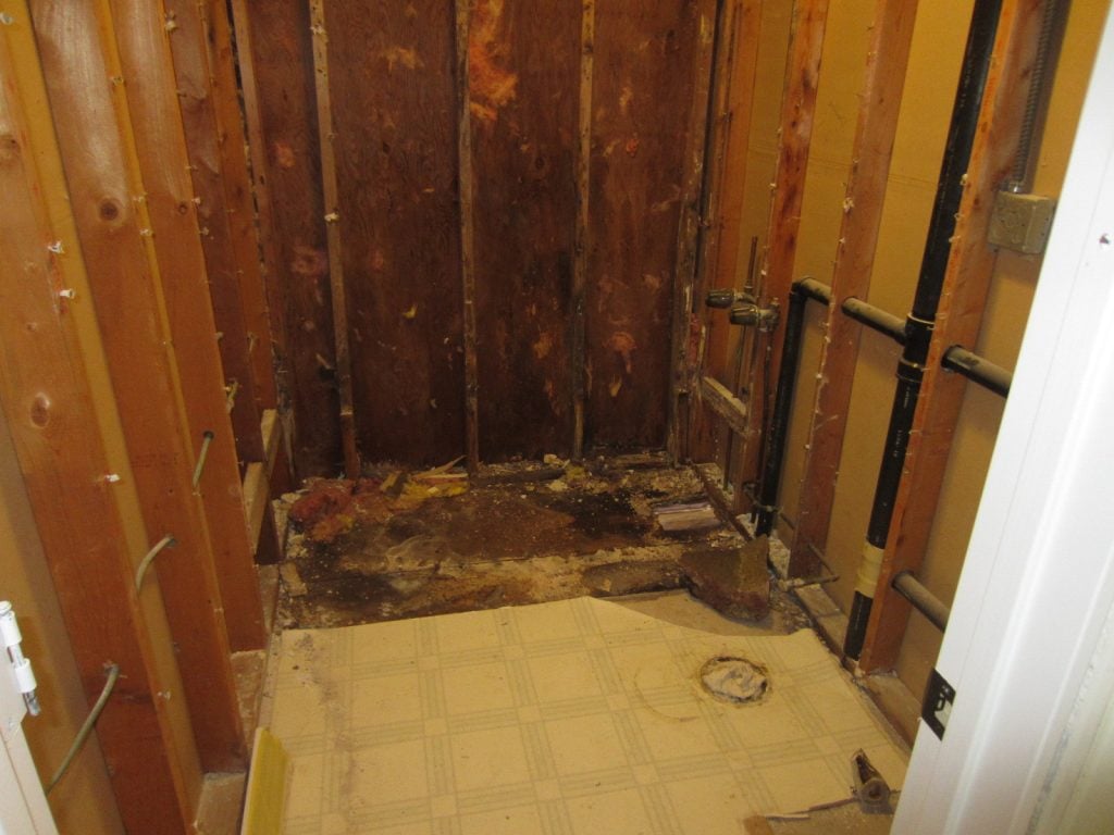 Bathroom affected by Water and Mold Damage