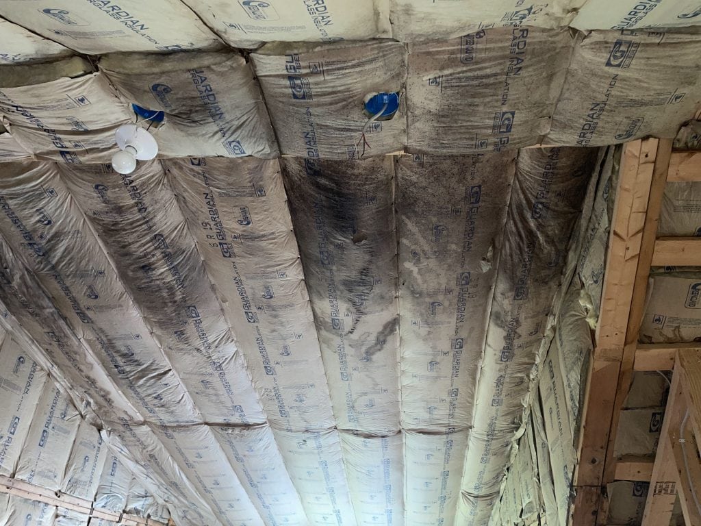 Mold Growth on Attic Insulation in Duluth, MN
