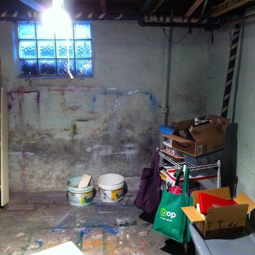 Basement affected by Mold Damage