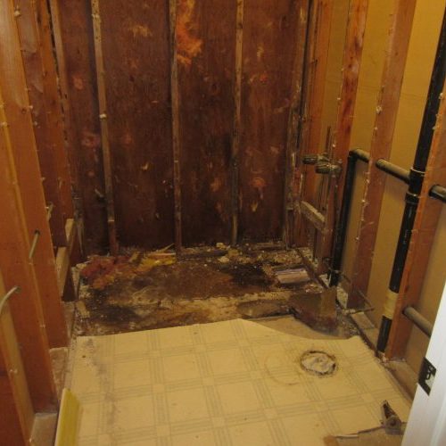 Bathroom affected by Water and Mold Damage